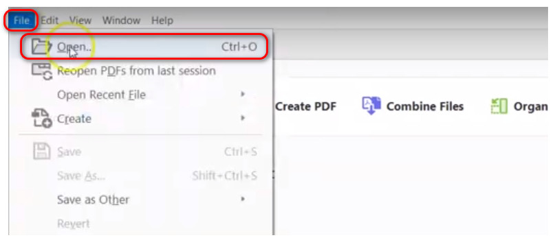Open PDF