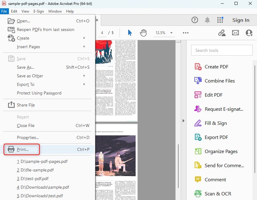 Choisir Imprimer dans Adobe Acrobat