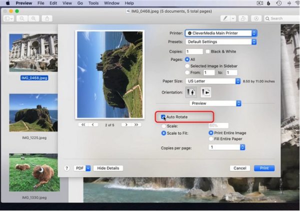 Options PDF dans Preview