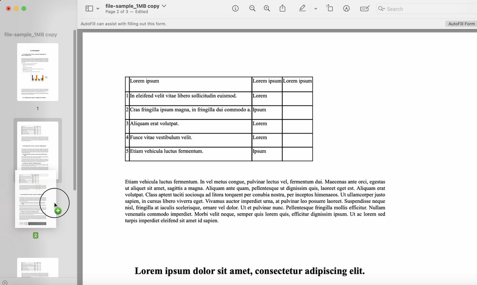Duplicate Pages