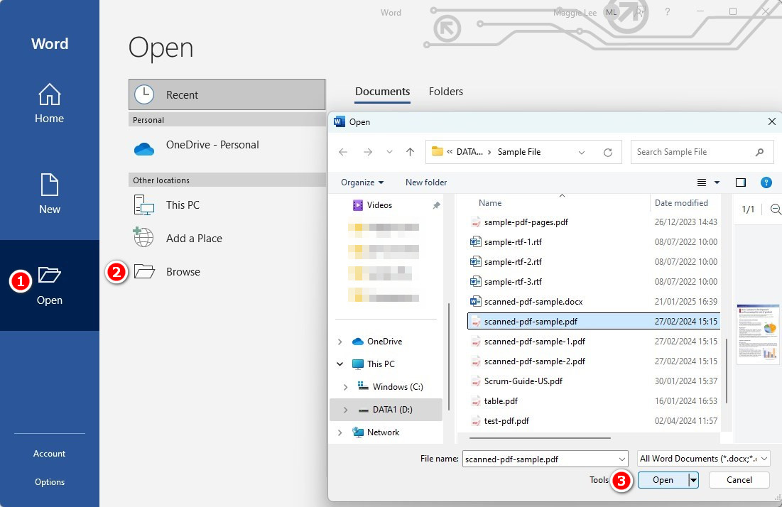 Open a Scanned PDF in MS Word