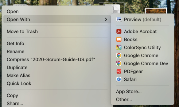 Open PDF in Preview 