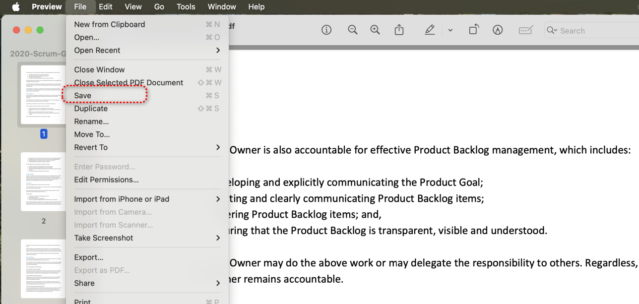 Save PDF Preview