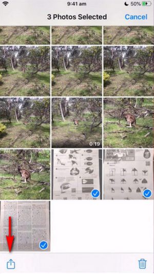 Partager des captures d’écran depuis Photos