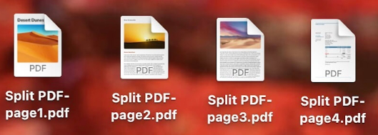 Check Your Files